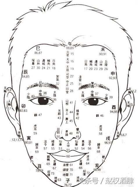 歲數面相年齡|面相流年部位歌訣簡釋